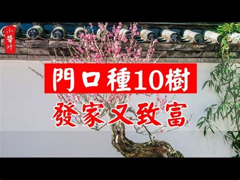 大門口擋煞植物|10種旺財門口植物